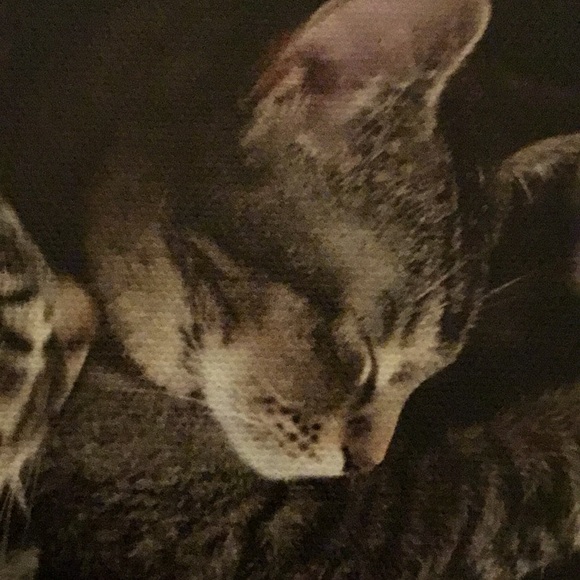 Meet your Posher, Patty - Picture 8 of 12